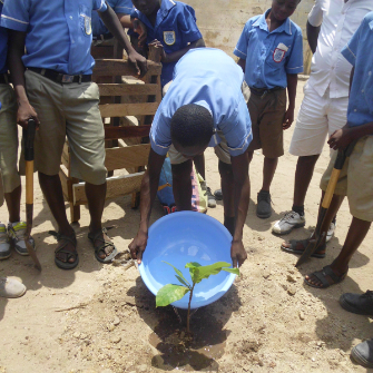 Philip Quaque Boys Watering a tree Plant