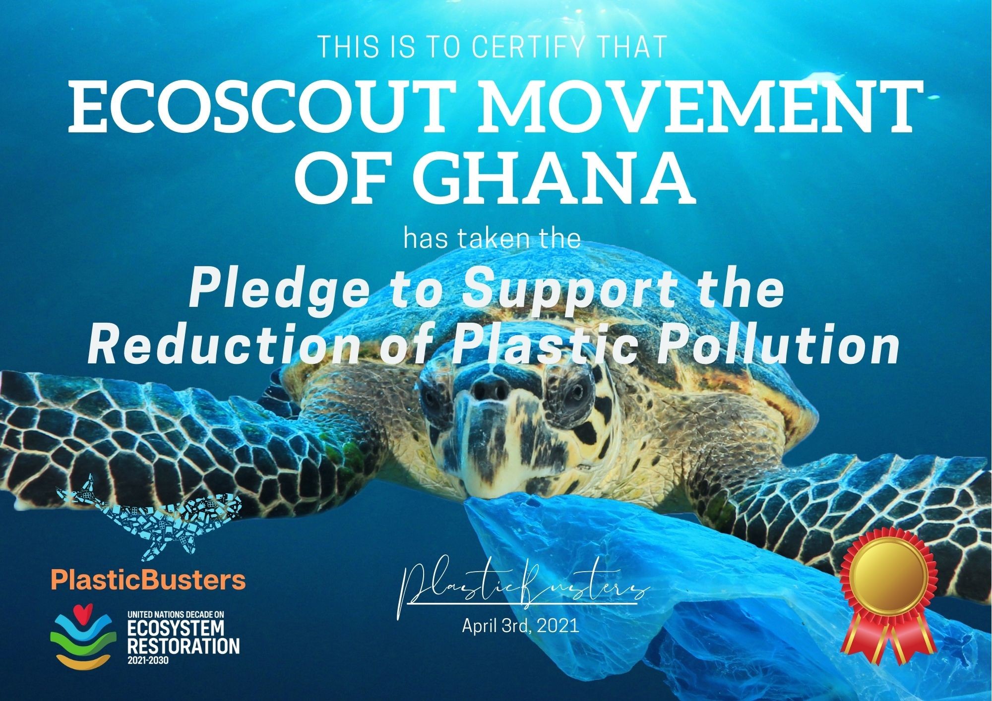 Image of ECOSCOUT MOVEMENT OF GHANA Pledge Certificate Image of oscoutghana
