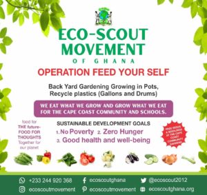 Image of oscoutghana