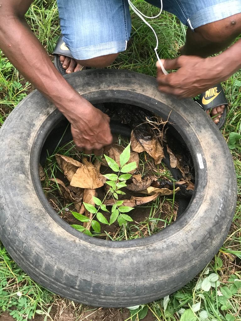 Image of oscoutghana