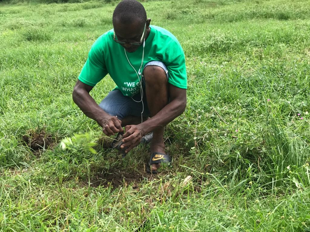 Image of oscoutghana