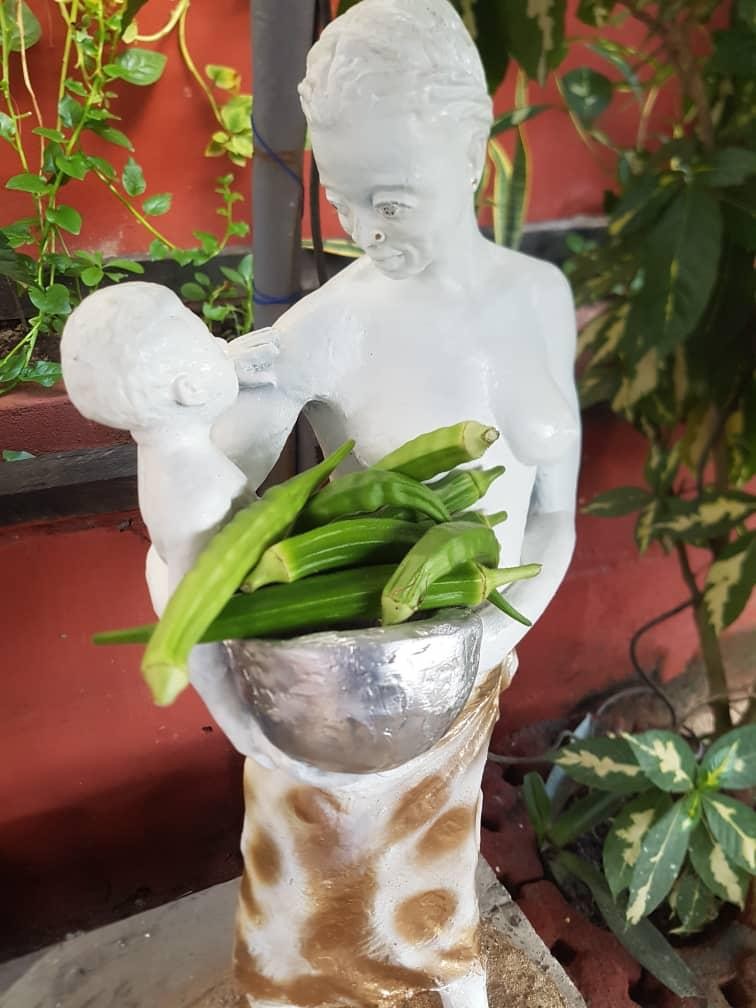 Image of Okra Pod Image of oscoutghana