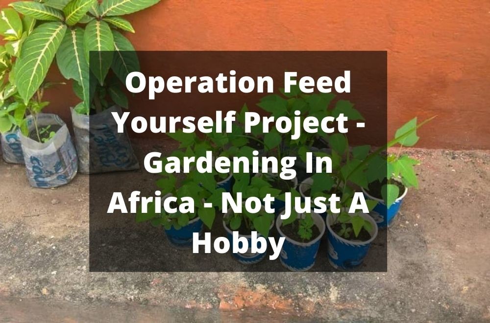 Operation Feed Yourself Project - Gardening In Africa-Not Just A Hobby